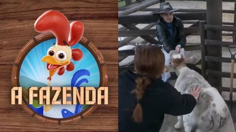 Jornalista virou alvo de duras cr�ticas ao cuidar dos animais nesta quinta-feira (25)