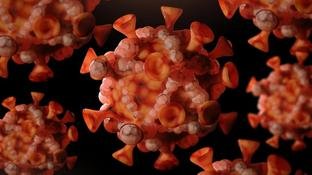 Mpox no Brasil segue sob vigil�ncia ap�s identifica��o de nova variante no exterior