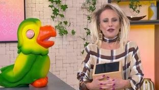 Advogado de ex-BBB26 ataca Ana Maria e move processo: “Predadora de homens jovens”