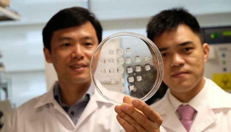 Nanyang Technological University Singapore