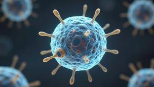 Os efeitos no corpo ao comer uma vez ao dia explicados de forma simples para quem tem d�vidas sobre esse h�bito