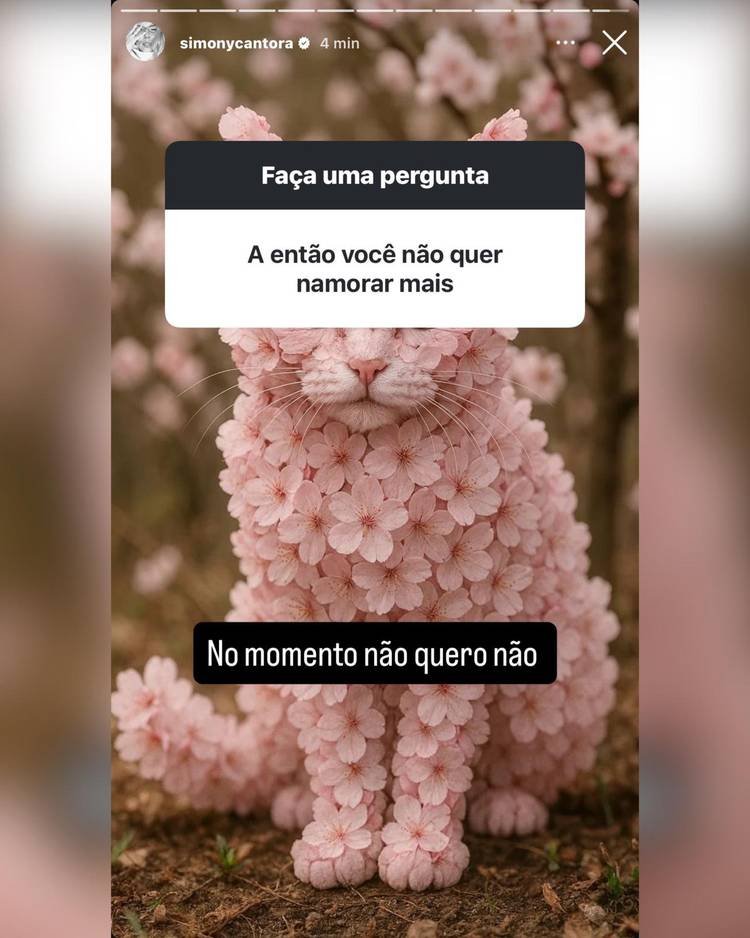 Segundo print do story de Simony Benelli