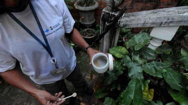 Dengue: metade das cidades de MG em alerta para infesta��o do mosquito