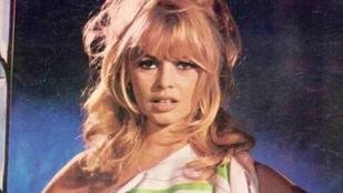 Com sensualidade e esp�rito livre, Brigitte Bardot se tornou mito feminino  - foto: Al Chabaka Magazine/Dom�nio p�blico