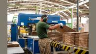 Setor amplia produção e exportações enquanto enfrenta exigências ambientais e sociais.