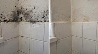 Mofo no banheiro faz mal? Veja os riscos para a sa�de respirat�ria