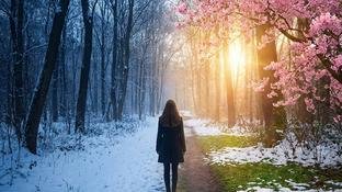 Sem l�grimas para o Ano Novo