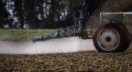 Por que estudo citado por 25 anos para defender agrot�xico mais usado no Brasil foi invalidado