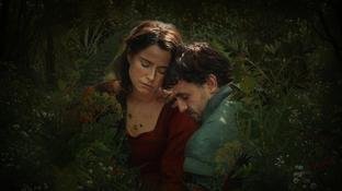 Hamnet: A Arte como Cura e a Sensibilidade Neurodivergente no Oscar 2026