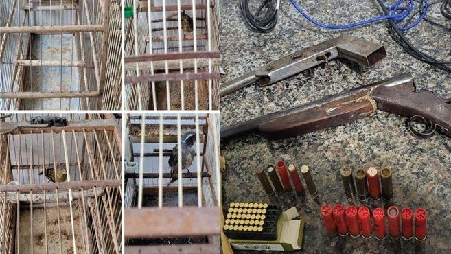 PM apreende p�ssaros, armas e prende ca�ador no interior de MG