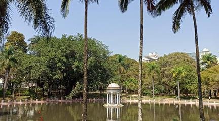 Parque Municipal: o que saber antes de visitar em BH