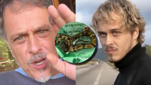 Guilherme Fontes � picado por cobra jararaca e relata momentos de terror