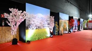 Festival do Jap�o em Minas chega � 13� edi��o no Expominas