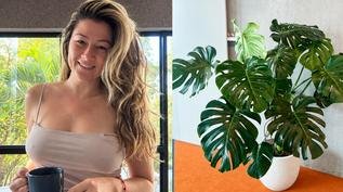 Influenciadora rega planta por dois anos e descobre que era de plástico