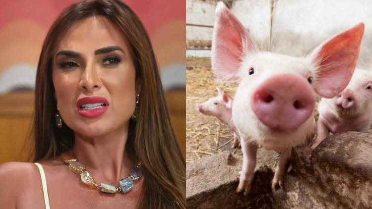 Segundo a influenciadora, o animal estava passando por maus tratos na propriedade onde vivia