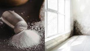 O poder do sal no quarto: diga adeus � umidade de forma econ�mica