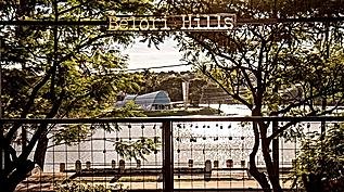 Bar na Pampulha celebra aniversário com open bar de chope e vinho