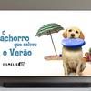 Drops de Jogos