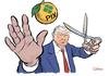 Trump e o Pix