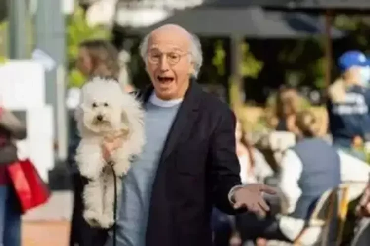 Larry David em Curb Your Enthusiasm