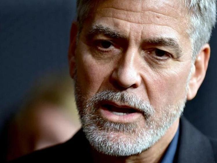 Reprodu��o / Internet