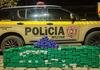 Homem � preso com 341 barras de maconha em MG; preju�zo � de R$ 700 mil