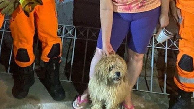 V�deo: c�o � resgatado depois de cair em po�o de 7 metros em Juiz de Fora