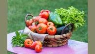 Com a chegada da primavera, os brasileiros começam a procurar refeições mais leves, frescas e coloridas, e os produtos orgânicos se tornam protagonistas nas mesas do país