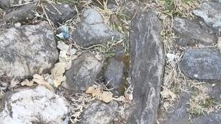 Porque insistem, oh velhas pedras?