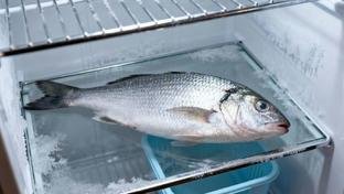 Sa�de alerta para cuidados com consumo de peixes na Semana Santa