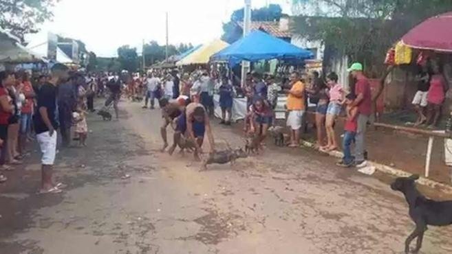 Festa popular em MG tem 'corrida de galinha' e concurso de 'roedor de pequi'
