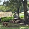 �cone da TV surpreende com fazenda de 100 hectares e vinhos pr�prios