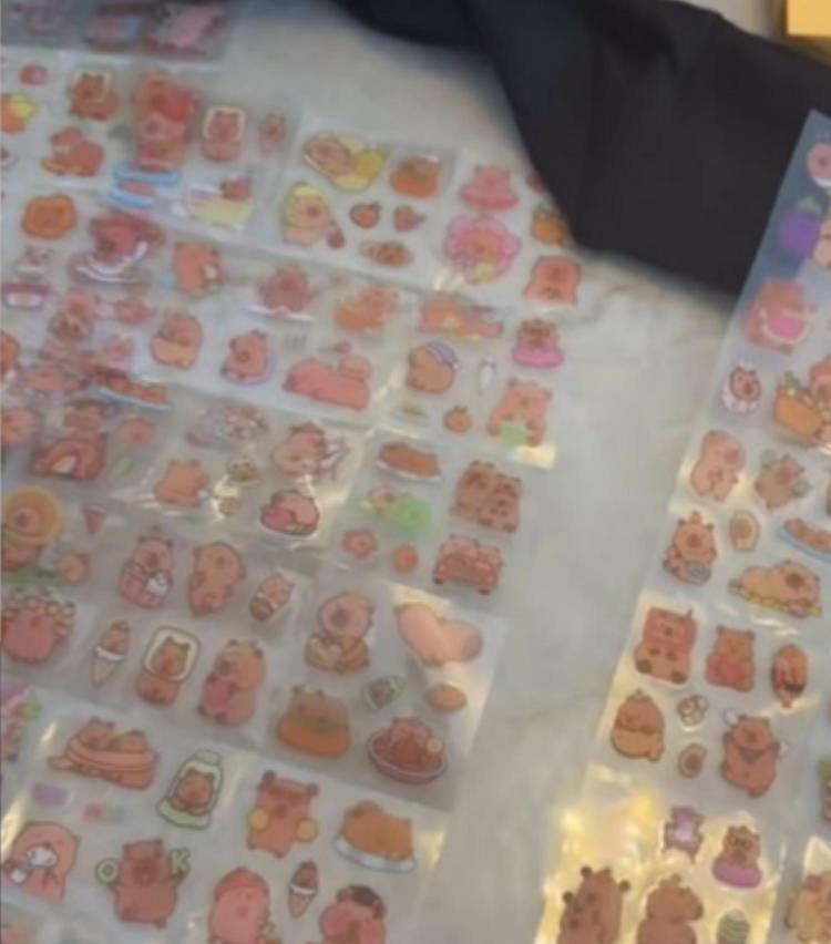 Cristiano e esposa alertam para perigo oculto em adesivos usados por crianas

