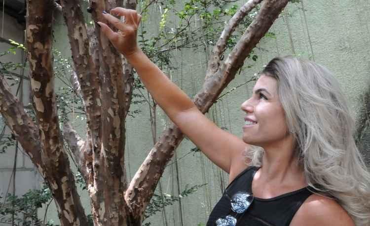 Paulo Filgueiras/EM/D.A Press