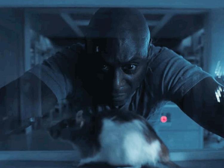 Divulga��o: Netflix