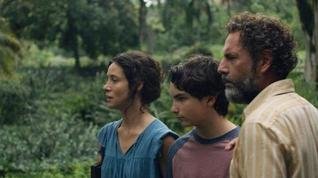 "Zafari" � visceral e socialmente selvagem