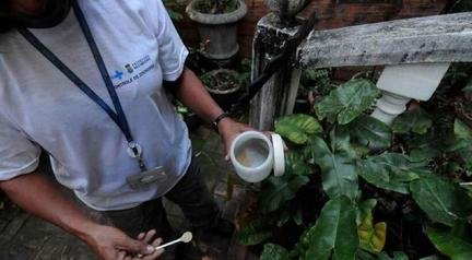Dengue: metade das cidades de MG em alerta para infesta��o do mosquito