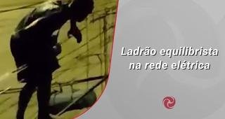 Ladr�o equilibrista na rede el�trica
