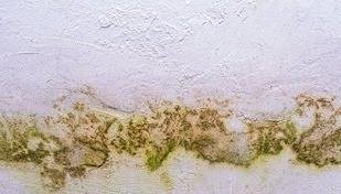 Chuva � vista? Veja como proteger sua casa da umidade