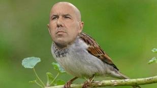 Jardim em apuros: os memes da vit�ria el�stica do Bragantino sobre o Flamengo - foto: Divulga��o Twitter