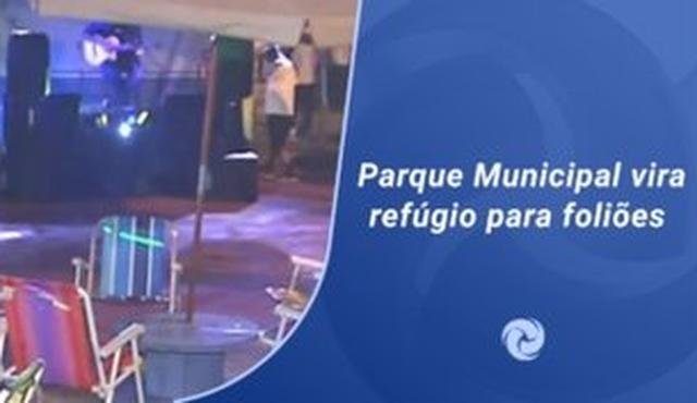 Parque Municipal vira ref�gio para foli�es