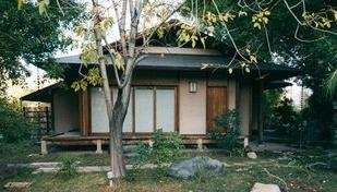 Sua �rvore pode cair? Veja sinais de perigo e o que fazer no seu quintal