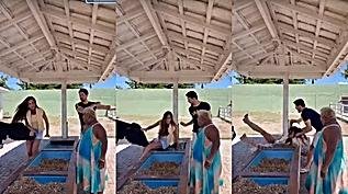 Nicole Bahls é atingida por vaca e arremessada em vídeo viral; assista