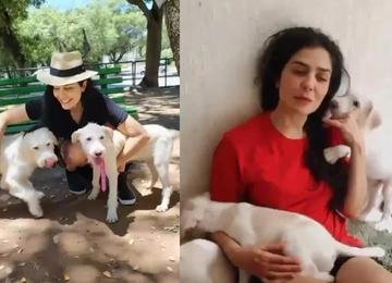 Letícia Sabatella desabafa após veterinária ser acusada de crime com cães