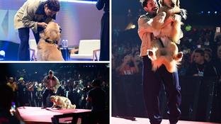 CCXP25: Nicolas Prattes protagoniza cena com co