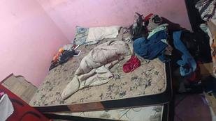 Homem � preso por sequestrar ex-mulher em ponto de �nibus - foto: Divulga��o/PMMG