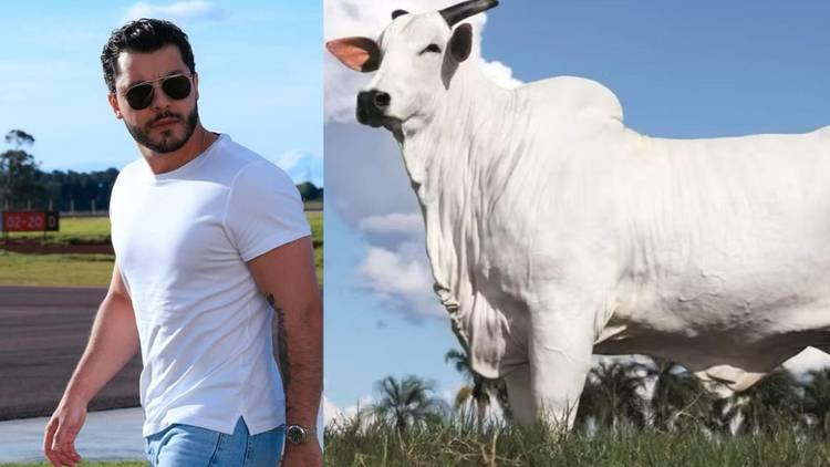 Murilo Huff e a vaca Donna FIV CIAV