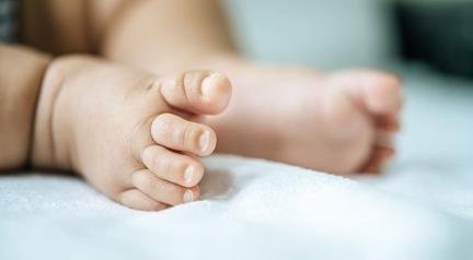 Rec�m-nascida � morta ao ficar sozinha com c�o que fam�lia havia acabado de adotar