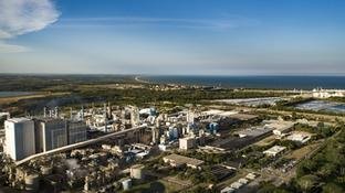 Suzano paga US$ 1,3 bi e cria a joint venture Arbex
