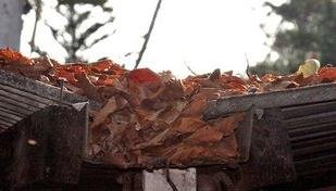 Limpeza de calhas: o guia definitivo para evitar infiltraes em casa